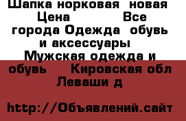 Шапка норковая, новая › Цена ­ 5 000 - Все города Одежда, обувь и аксессуары » Мужская одежда и обувь   . Кировская обл.,Леваши д.